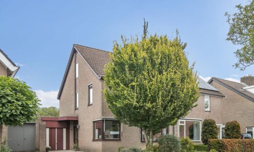 Pelikaan 35